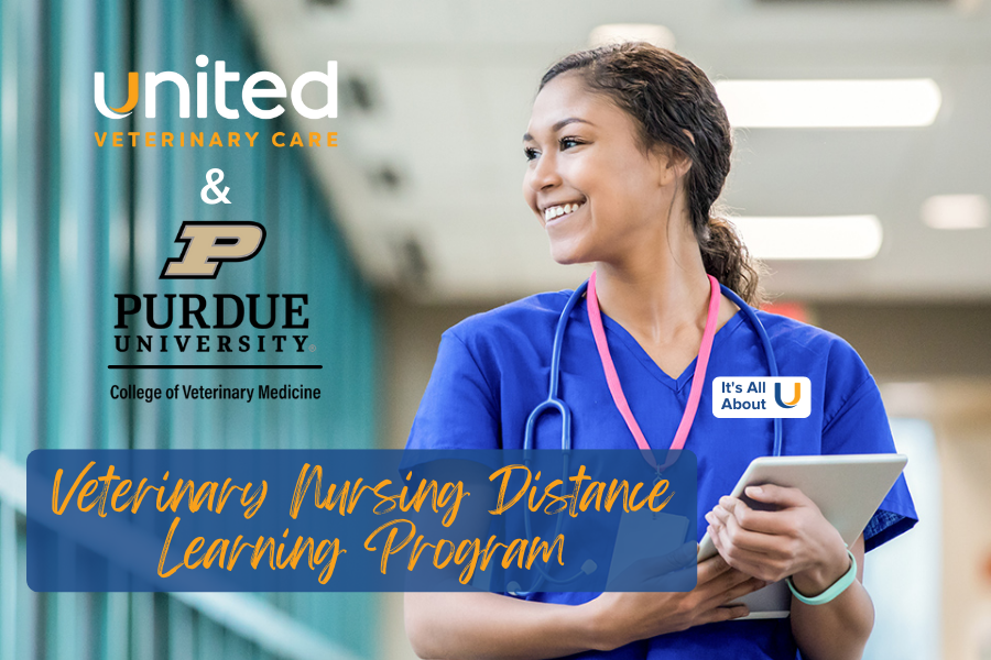 Veterinary Technician Distance Learning Program