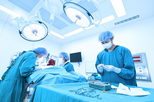 austin texas veterinarians emergency surgery