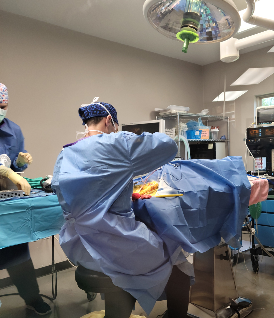 austin texas veterinarians emergency surgery