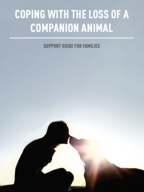 Coping With The Loss Of A Companion Pet